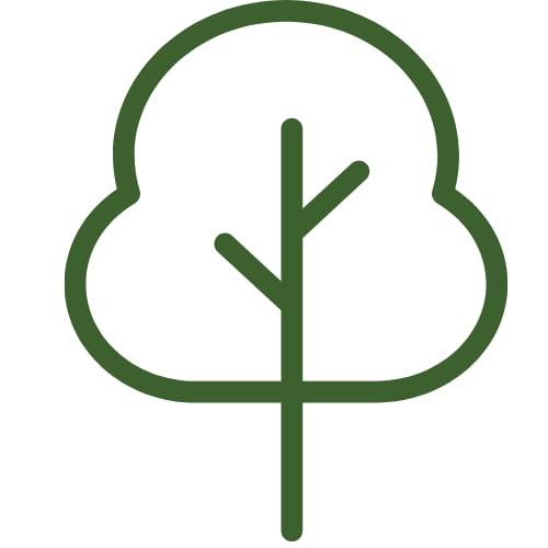 Verde+Paisagismo